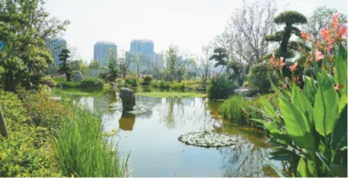 1634607270499771.png image.png